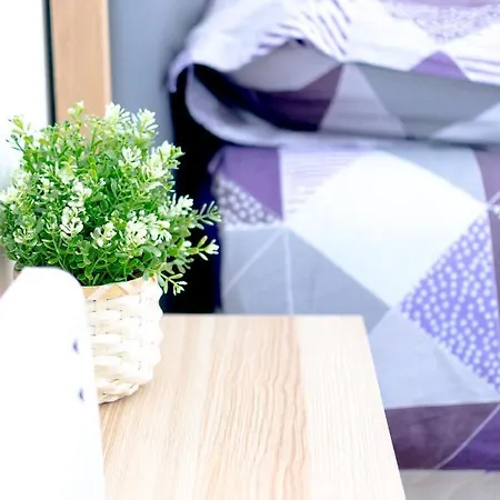 En Centre-ville 5 * Castres (Tarn)